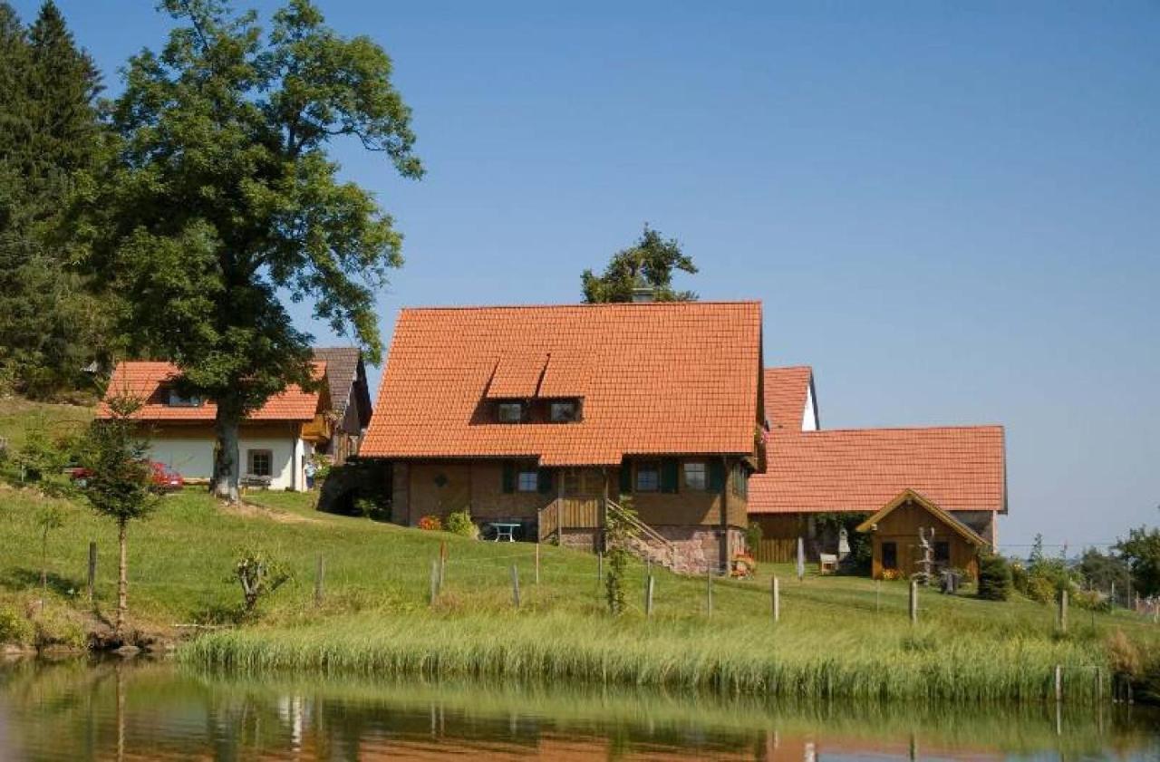 Ferienhof Kienbronnerhof Schiltach Extérieur photo