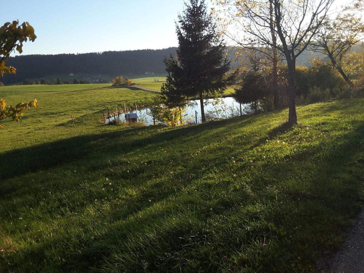Ferienhof Kienbronnerhof Schiltach Extérieur photo